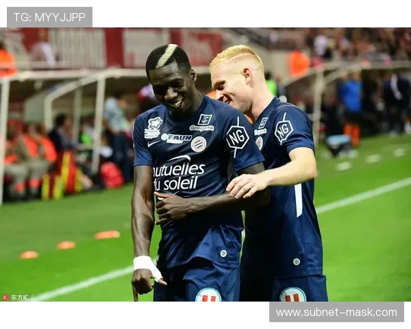 法甲球员赛季表现总结：技术数据与战术执行力评估